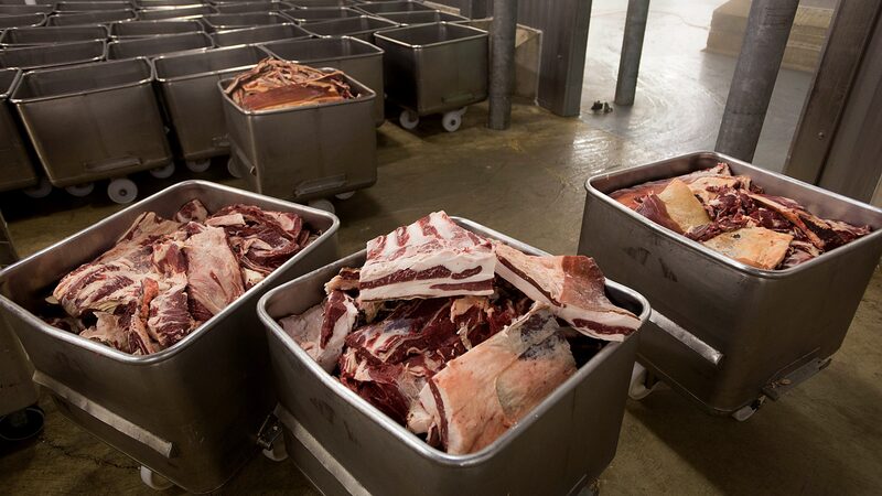 Cargill aposta em IA para extrair mais carne de ossos ante escassez de gado nos EUA Cargill aposta em IA para extrair mais carne de ossos ante escassez de gado nos EUA