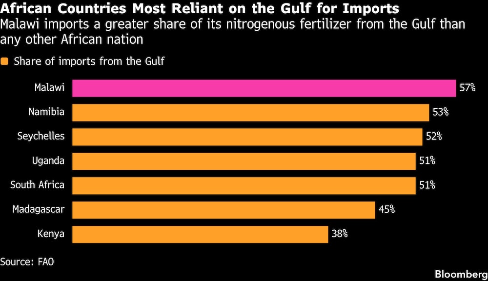 Los países africanos más dependientes del Golfo en materia de importaciones. Los países africanos más dependientes del Golfo en materia de importaciones.