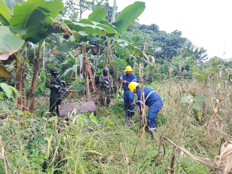 El Ejército Ecuatoriano en coordinación con técnicos de CNEL, deshabilitó una conexión eléctrica clandestina en el sector Palma Seca, provincia de Sucumbíos, el 12 de mayo de 2026. El Ejército Ecuatoriano en coordinación con técnicos de CNEL, deshabilitó una conexión eléctrica clandestina en el sector Palma Seca, provincia de Sucumbíos, el 12 de mayo de 2026.