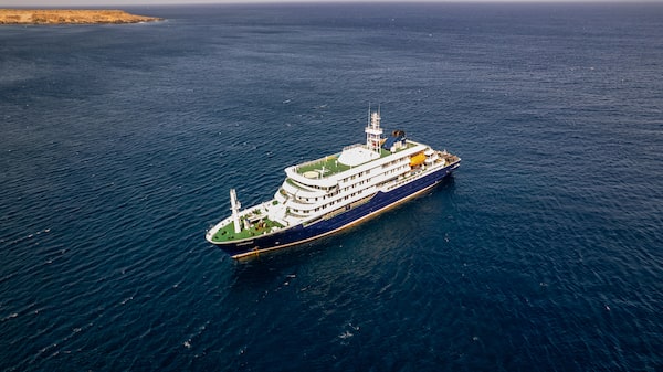 Brote de hantavirus en crucero frente a Cabo Verde alcanza siete casos, según la OMS Brote de hantavirus en crucero frente a Cabo Verde alcanza siete casos, según la OMS