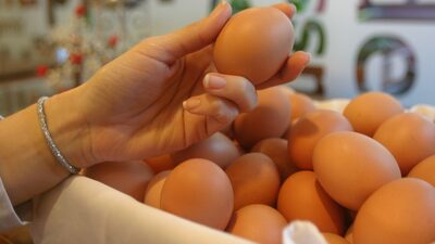 Not Cheaper By the Dozen: Central American Inflation Reflected In Egg-Price Hike Not Cheaper By the Dozen: Central American Inflation Reflected In Egg-Price Hike