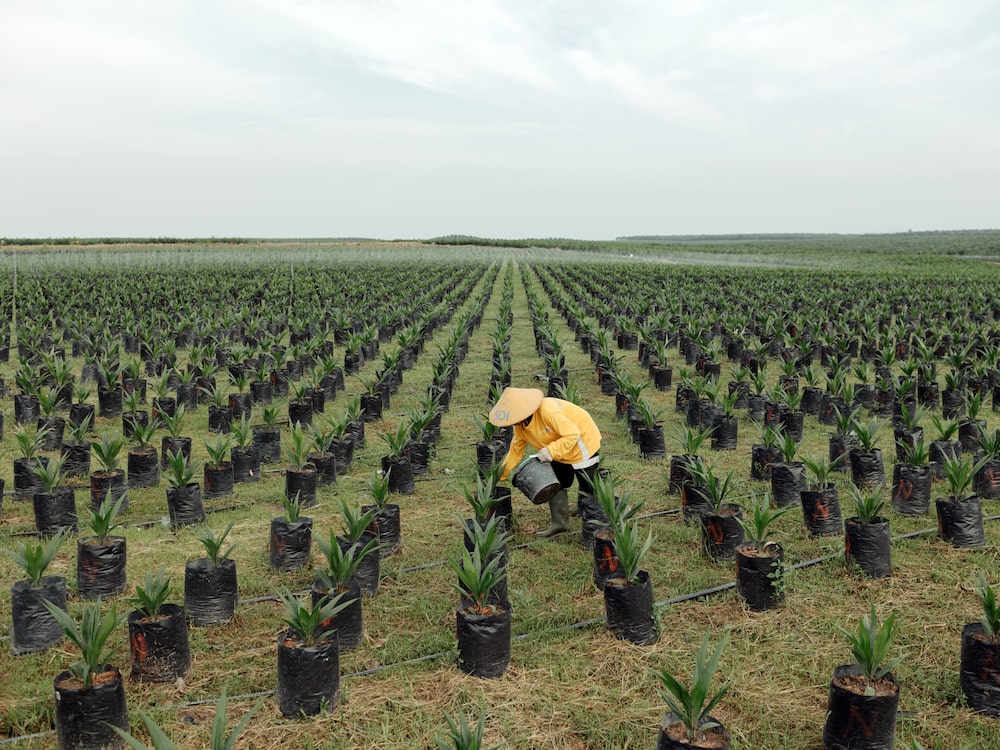 Foto: Muhammad Fadli/Bloomberg Foto: Muhammad Fadli/Bloomberg