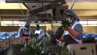 Moody’s eleva la calificación crediticia de Bolivia tras compromiso de pagar cupones Moody’s eleva la calificación crediticia de Bolivia tras compromiso de pagar cupones