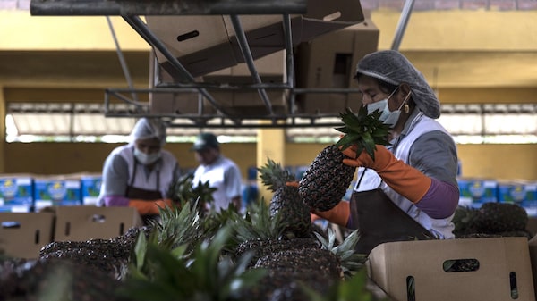 Moody’s eleva la calificación crediticia de Bolivia tras compromiso de pagar cupones Moody’s eleva la calificación crediticia de Bolivia tras compromiso de pagar cupones