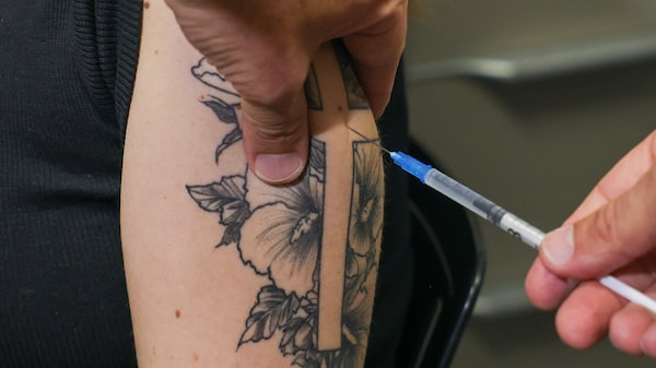 Pfizer prioriza vacinar gestante contra vírus da bronquiolite em 2026, segundo diretor Pfizer prioriza vacinar gestante contra vírus da bronquiolite em 2026, segundo diretor