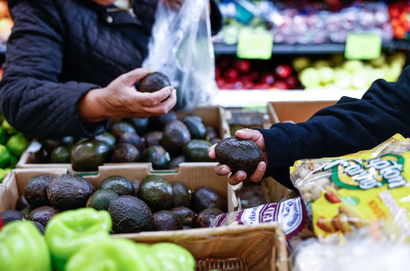 Los compradores seleccionan aguacates en una tienda de comestibles en el barrio del Bronx, en Nueva York, Estados Unidos, el viernes 24 de octubre de 2025. Los compradores seleccionan aguacates en una tienda de comestibles en el barrio del Bronx, en Nueva York, Estados Unidos, el viernes 24 de octubre de 2025.