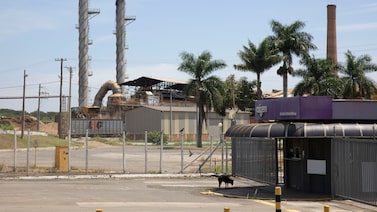 Raízen perde grau de investimento e contrata Alvarez & Marsal como assessor financeiro Raízen perde grau de investimento e contrata Alvarez & Marsal como assessor financeiro