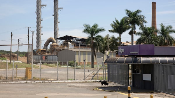 Raízen perde grau de investimento e contrata Alvarez & Marsal como assessor financeiro Raízen perde grau de investimento e contrata Alvarez & Marsal como assessor financeiro