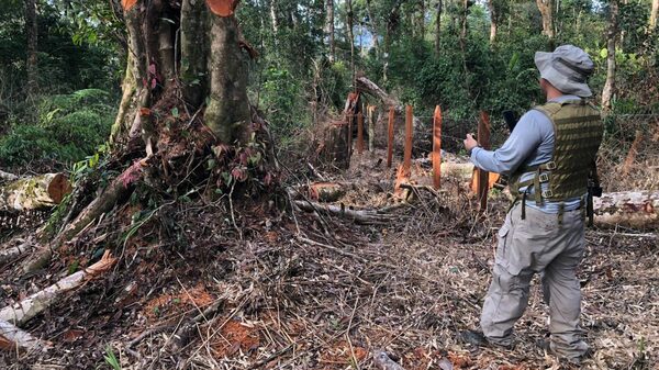 Invasiones a propiedad privada siguen extendiéndose en Honduras, denuncian empresas Invasiones a propiedad privada siguen extendiéndose en Honduras, denuncian empresas