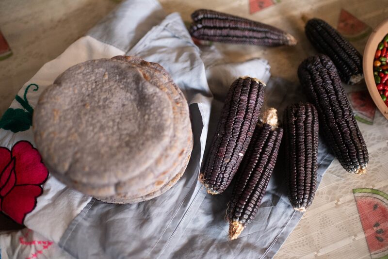 México ya importa cerca del 50% del consumo total de maíz, lo que hace tan solo diez años era una tercera parte. México ya importa cerca del 50% del consumo total de maíz, lo que hace tan solo diez años era una tercera parte.