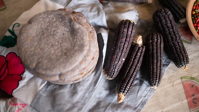 Se avecina una crisis del maíz en México Se avecina una crisis del maíz en México