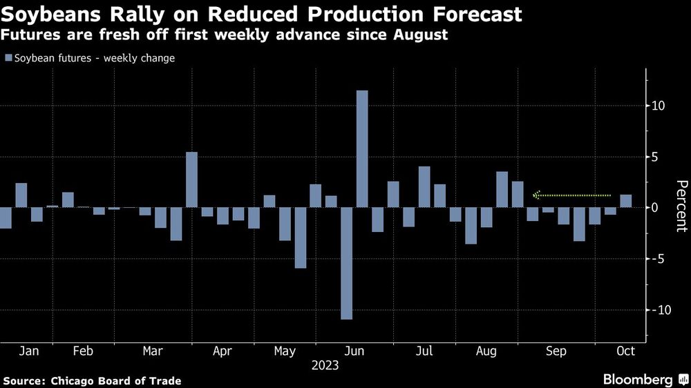 Soybeans Rally on Reduced Production Forecast | Futures are fresh off first weekly advance since August Soybeans Rally on Reduced Production Forecast | Futures are fresh off first weekly advance since August