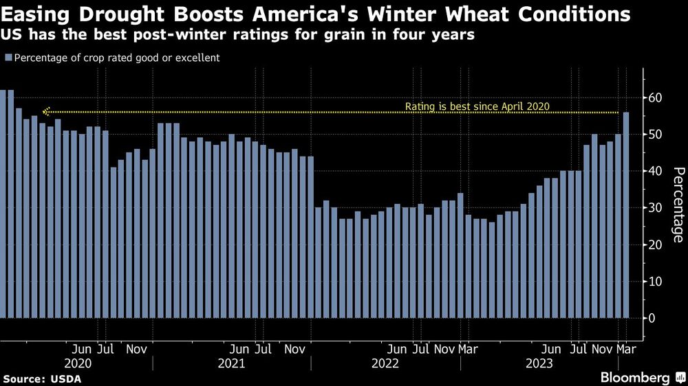 Gráfico de condiciones post invernales del trigo en EE.UU. Gráfico de condiciones post invernales del trigo en EE.UU.