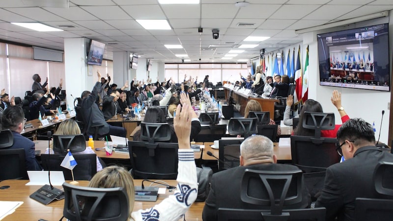 Sesión ordinaria del Parlamento Centroamericano el 24 de febrero de 2026. Sesión ordinaria del Parlamento Centroamericano el 24 de febrero de 2026.