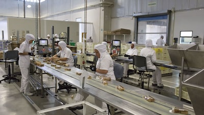 Productividad de Colombia se estanca de la mano del desempleo más bajo del siglo Productividad de Colombia se estanca de la mano del desempleo más bajo del siglo