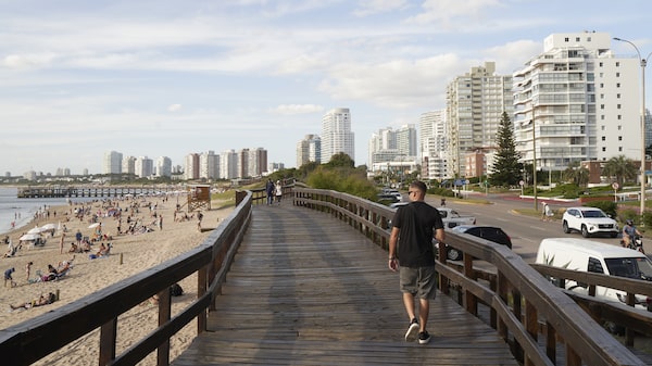 Jets, flores y millones: Punta del Este atrae a la élite de Latam con eventos de lujo Jets, flores y millones: Punta del Este atrae a la élite de Latam con eventos de lujo