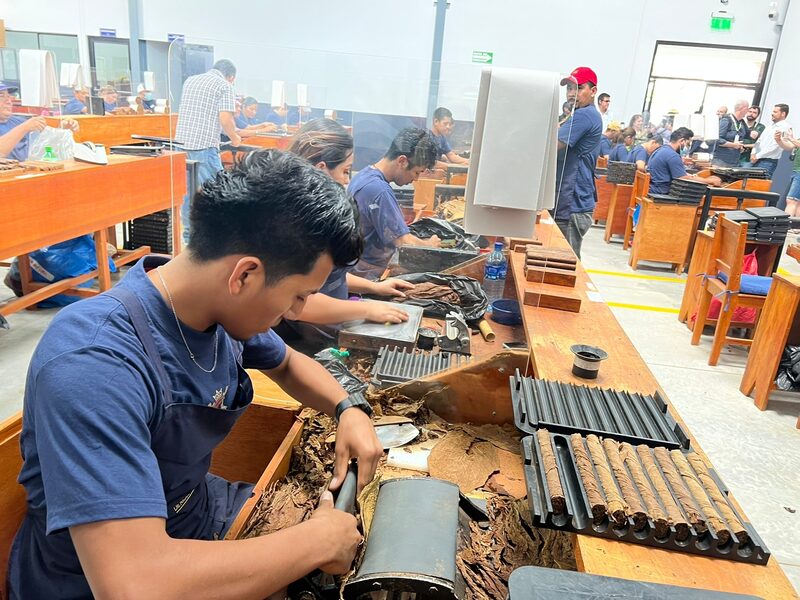 Tabaco de Nicaragua crece en exportaciones por nuevas tecnologías y mejor precio Tabaco de Nicaragua crece en exportaciones por nuevas tecnologías y mejor precio