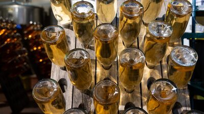 Vinos sin alcohol que valen una segunda copa Vinos sin alcohol que valen una segunda copa