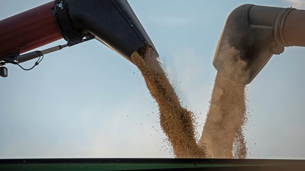 Ação da SLC sobe quase 9% impulsionada por commodities Ação da SLC sobe quase 9% impulsionada por commodities