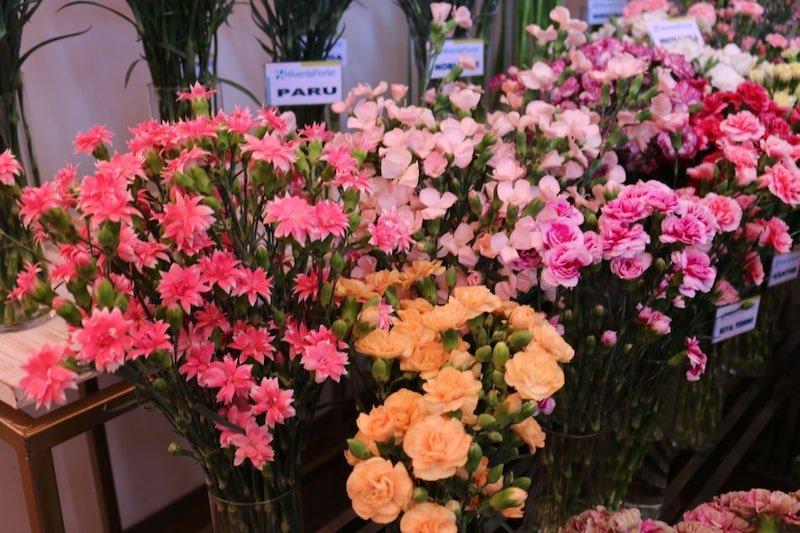 Productos como follajes, flores frescas y capullos guatemaltecos son cotizados a nivel internacional. Productos como follajes, flores frescas y capullos guatemaltecos son cotizados a nivel internacional.