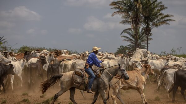 Brazil Meat Baron Marcos Molina dos Santos Seeks to Fix BRF Before Any Marfrig Merger Brazil Meat Baron Marcos Molina dos Santos Seeks to Fix BRF Before Any Marfrig Merger