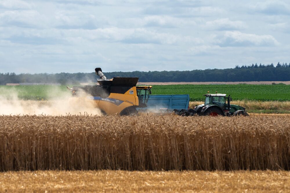 Una explotación de trigo en Leves, Francia. Una explotación de trigo en Leves, Francia.
