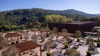 De resorts a fazendas próprias: o plano da Cacau Show para atingir R$ 20 bi em vendas De resorts a fazendas próprias: o plano da Cacau Show para atingir R$ 20 bi em vendas