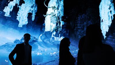 COP28: Líderes prometen compensaciones para las naciones más vulnerables COP28: Líderes prometen compensaciones para las naciones más vulnerables