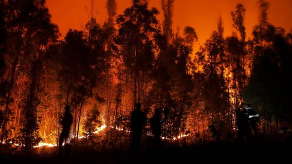 Incendios forestales en Chile dejan más de 280 mil hectáreas destruidas Incendios forestales en Chile dejan más de 280 mil hectáreas destruidas