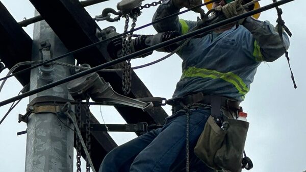 La demanda de energía creció por encima de la economía y las renovables lideraron el alza La demanda de energía creció por encima de la economía y las renovables lideraron el alza