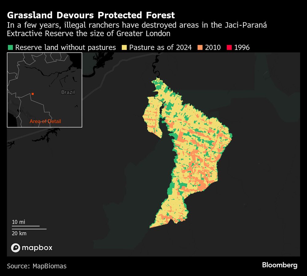En pocos años, los ganaderos ilegales han destruido áreas en la reserva extractiva de Jaci-Paraná del tamaño del Gran Londres. En pocos años, los ganaderos ilegales han destruido áreas en la reserva extractiva de Jaci-Paraná del tamaño del Gran Londres.