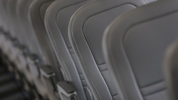 Los próximos asientos de avión se fabricarán con piel de cactus y redes de pesca Los próximos asientos de avión se fabricarán con piel de cactus y redes de pesca