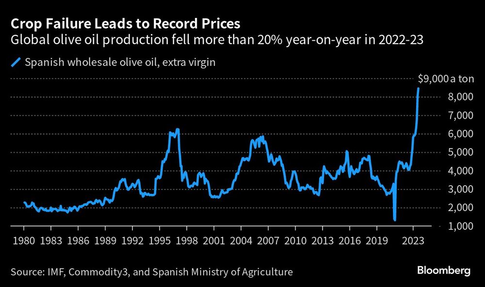 Crop Failure Leads to Record Prices | Global olive oil production fell more than 20% year-on-year in 2022-23 Crop Failure Leads to Record Prices | Global olive oil production fell more than 20% year-on-year in 2022-23