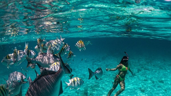 Gráficos: Las economías de Centroamérica y el Caribe dependen altamente del turismo Gráficos: Las economías de Centroamérica y el Caribe dependen altamente del turismo