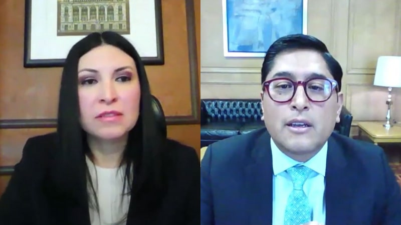 Victoria Rodríguez Ceja y Omar Mejía-Castelazo Victoria Rodríguez Ceja y Omar Mejía-Castelazo