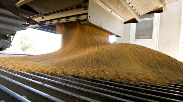 Maior ETF de commodities atrai aporte recorde com escalada da inflação Maior ETF de commodities atrai aporte recorde com escalada da inflação