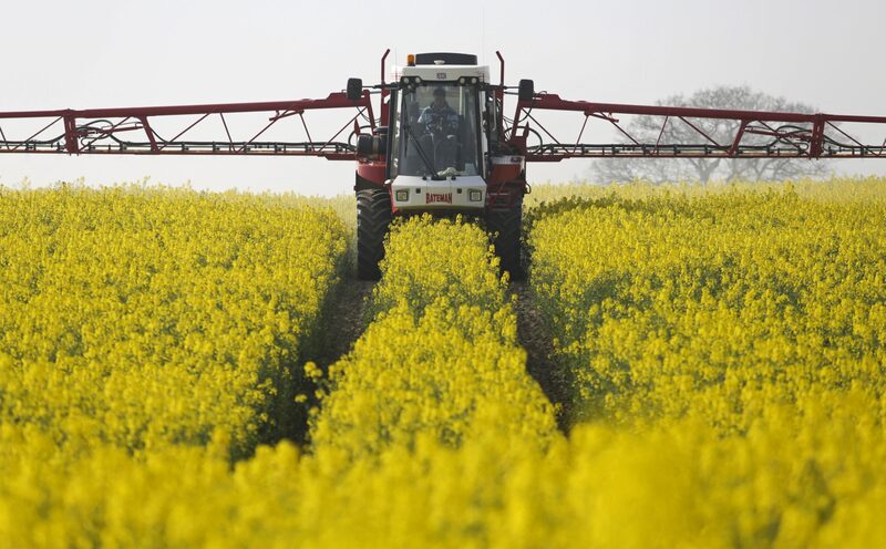 Empresas trazem ingredientes ativos de avião para serem formulados no Brasil numa tentativa de evitar desabastecimento Empresas trazem ingredientes ativos de avião para serem formulados no Brasil numa tentativa de evitar desabastecimento