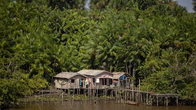 Brasil revisa plano climático até 2035 com desmatamento como foco no corte de emissões Brasil revisa plano climático até 2035 com desmatamento como foco no corte de emissões
