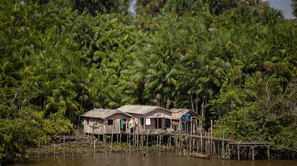Brasil revisa plano climático até 2035 com desmatamento como foco no corte de emissões Brasil revisa plano climático até 2035 com desmatamento como foco no corte de emissões