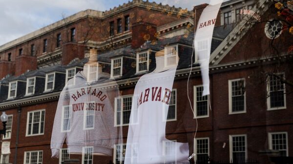 Novas matrículas de estudantes internacionais caem 17% nos EUA, indica pesquisa Novas matrículas de estudantes internacionais caem 17% nos EUA, indica pesquisa