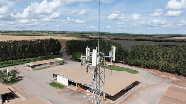 Da cobertura 4G ao processamento de dados: a estratégia da TIM para crescer no agro Da cobertura 4G ao processamento de dados: a estratégia da TIM para crescer no agro