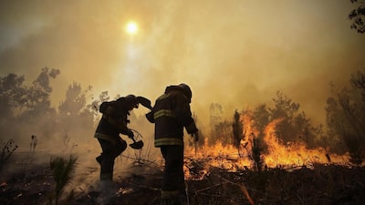 Incendios en Chile: qué implica el Estado de Catástrofe decretado Incendios en Chile: qué implica el Estado de Catástrofe decretado