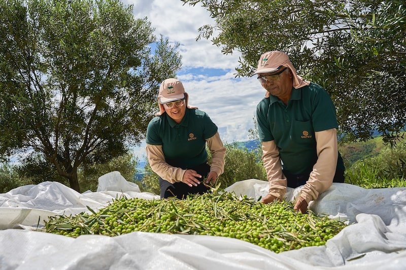 Depois do café, Orfeu constrói com o azeite um novo negócio de luxo e alto valor Depois do café, Orfeu constrói com o azeite um novo negócio de luxo e alto valor