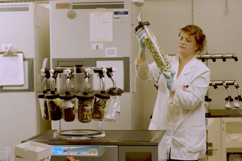 Cientista no laboratório de Brightseed Cientista no laboratório de Brightseed