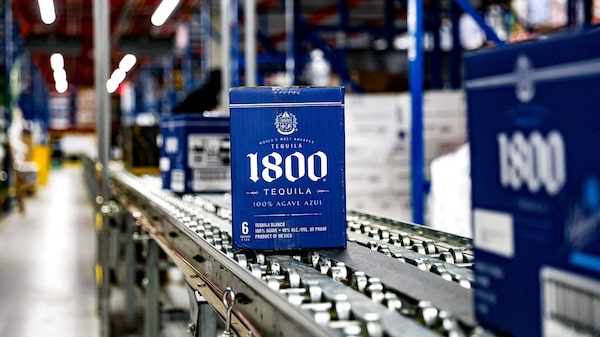 El estado mexicano de Jalisco invierte millones en la capital del tequila tras escándalo de extorsión El estado mexicano de Jalisco invierte millones en la capital del tequila tras escándalo de extorsión