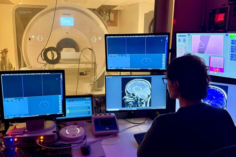 Las catástrofes naturales podrían estar moldeando el cerebro de los bebés. Las catástrofes naturales podrían estar moldeando el cerebro de los bebés.