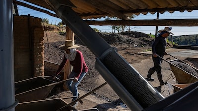 Pronósticos de lluvias en Brasil alivian el mercado y bajan el precio del café arábica Pronósticos de lluvias en Brasil alivian el mercado y bajan el precio del café arábica