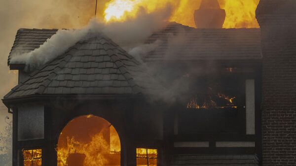 Os danos dos incêndios em Los Angeles vão muito além de casas e vegetação perdidas Os danos dos incêndios em Los Angeles vão muito além de casas e vegetação perdidas