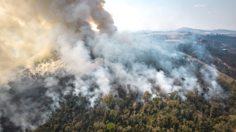 Wildfires in Brazil have consumed farms, destroying lands of one of the worlds largest agricultural producers. Photographer: Jonne Roriz/Bloomberg Wildfires in Brazil have consumed farms, destroying lands of one of the worlds largest agricultural producers. Photographer: Jonne Roriz/Bloomberg