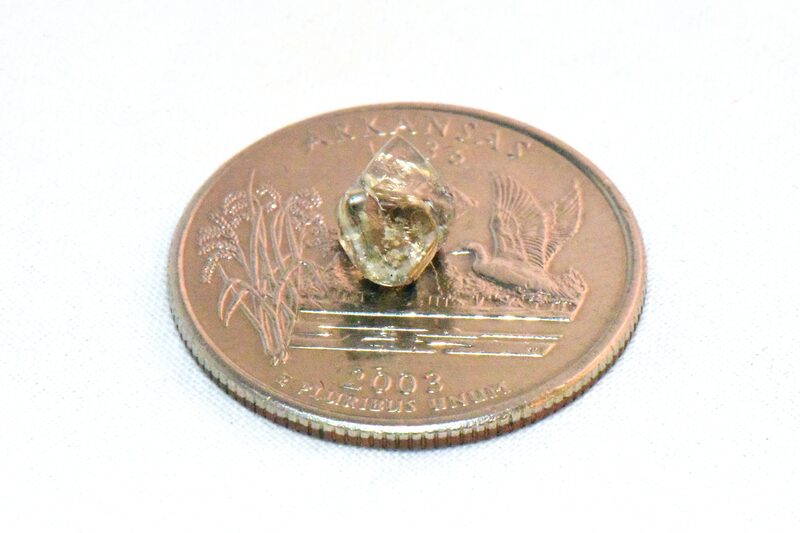 Micherre Fox diamante Micherre Fox diamante